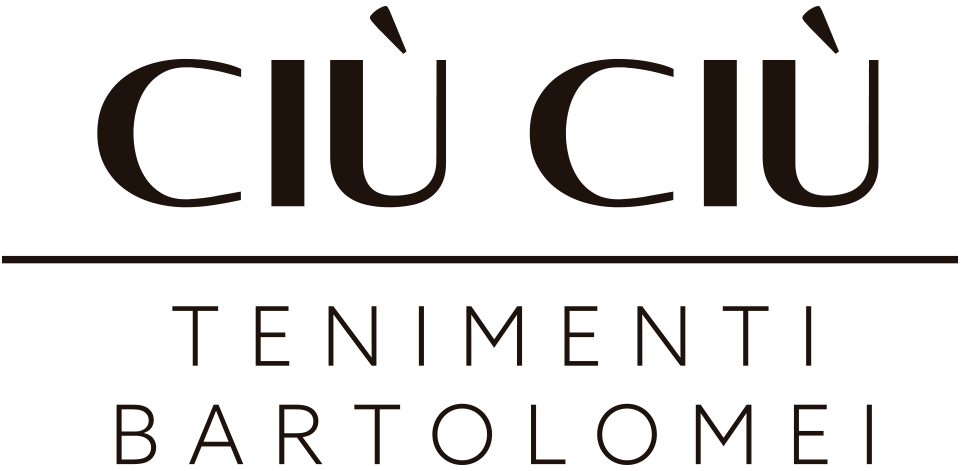 CIUCIU-Logo-black